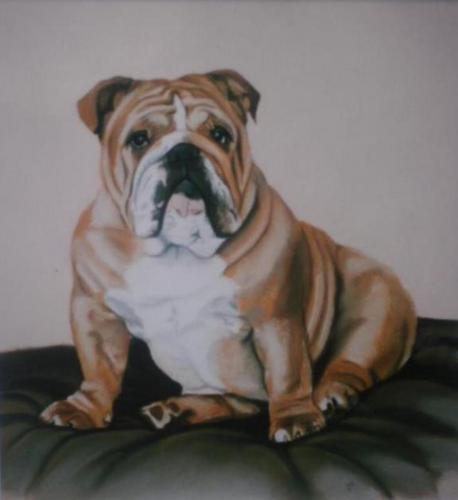 po-boxer (3)