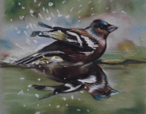 vink (1)